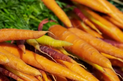 Carrot Fruit Packing Software