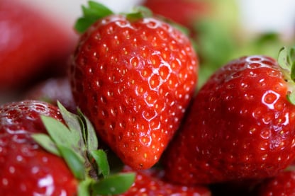 myob integration Fresh produce
